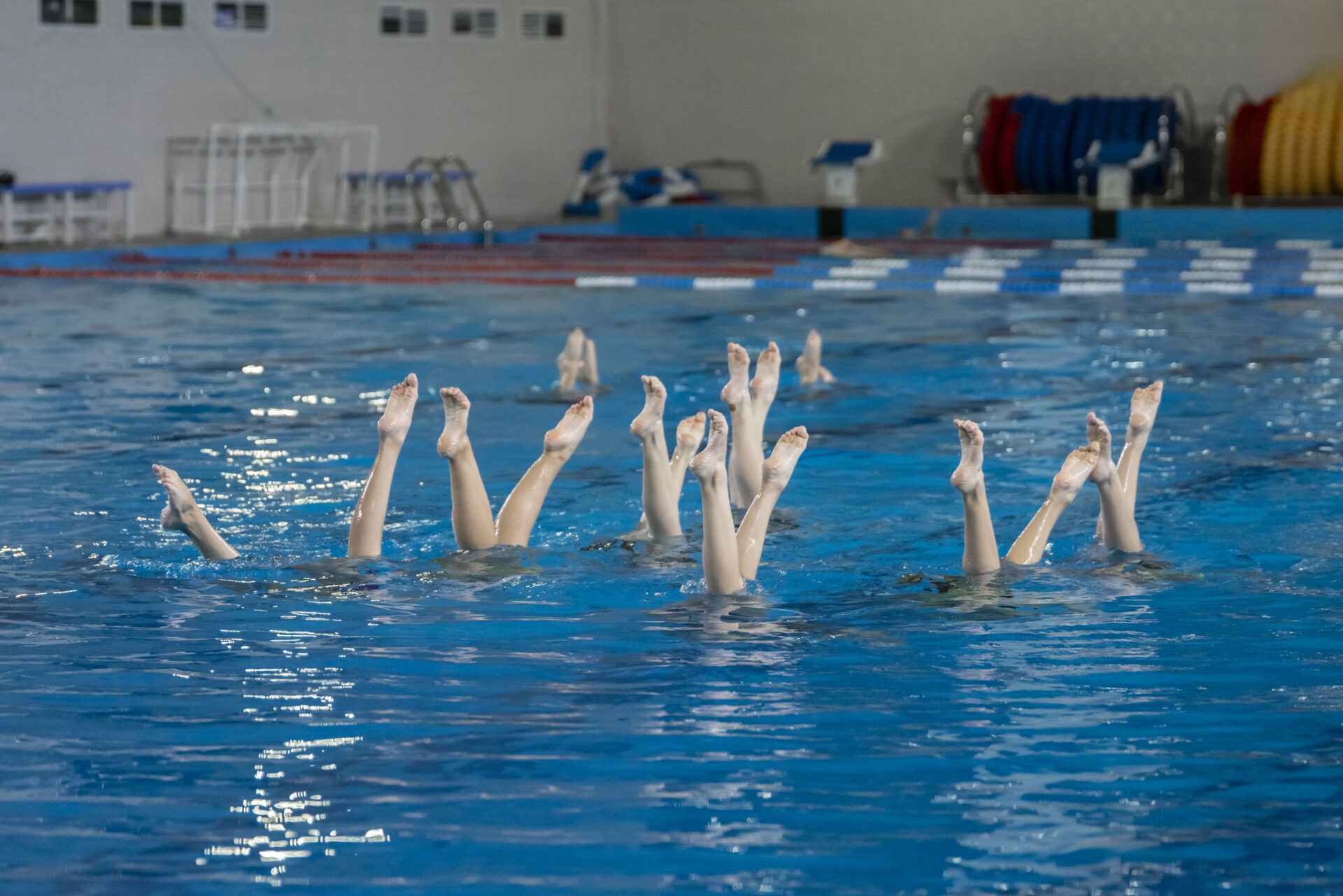 Natation artistique