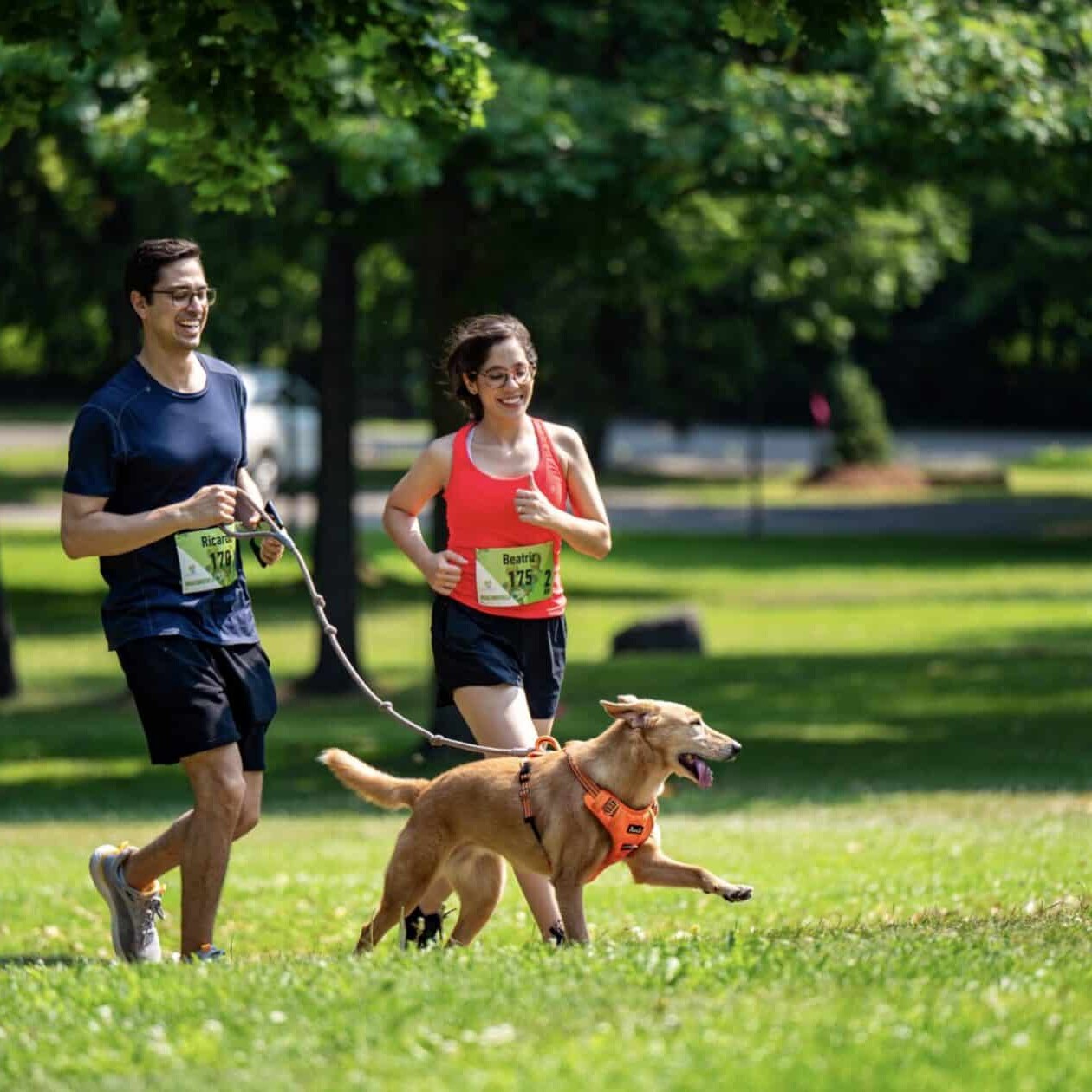 BougeBouge Beaconsfield