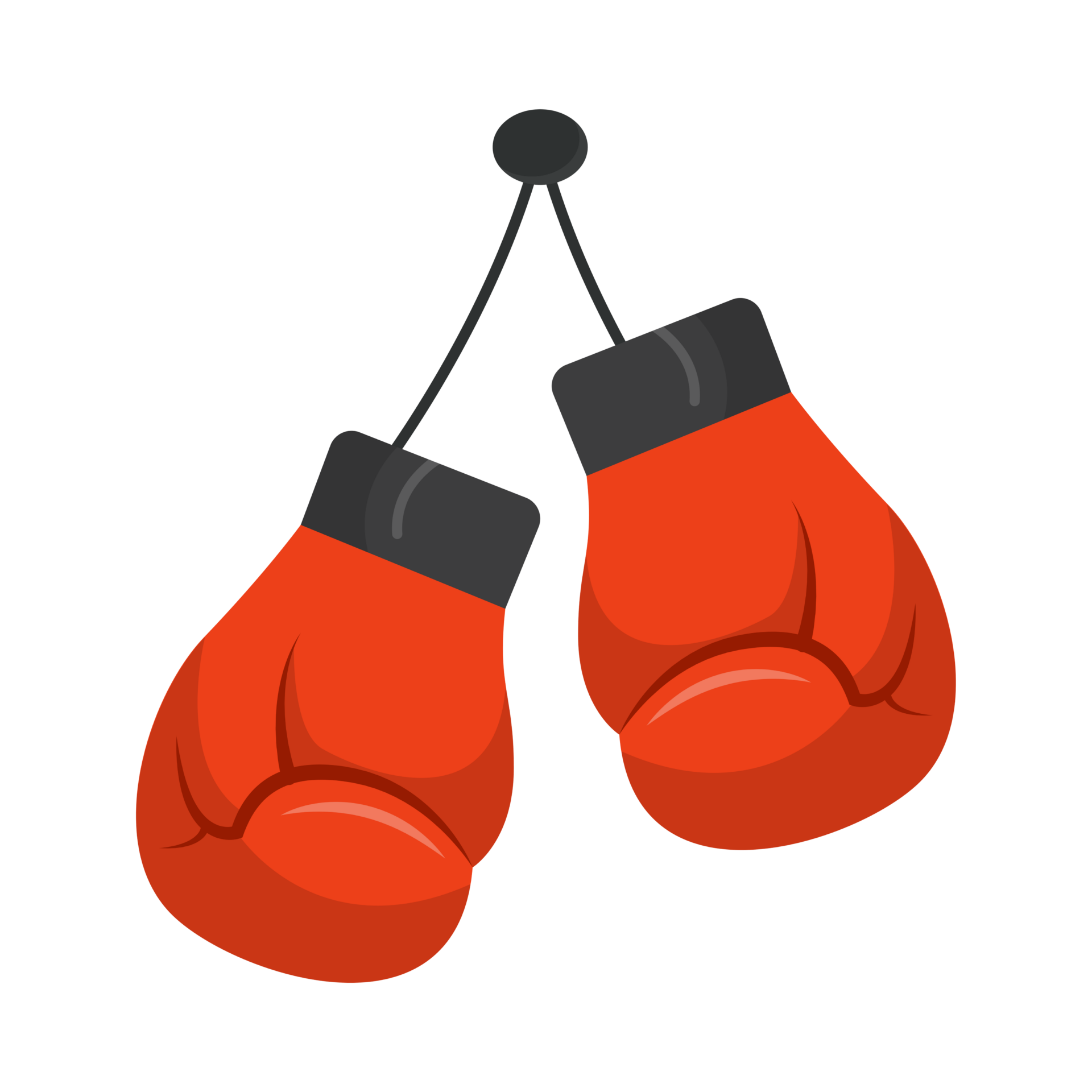 boxe sport combat ring jeux olympiques champions