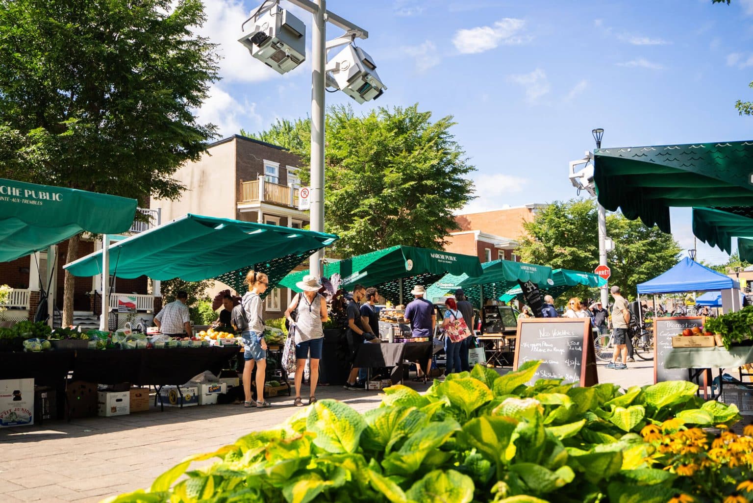 Marché public Pointe-aux-Trembles