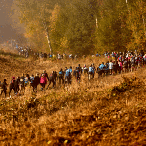 trail wakefield 2_ marathon races half marathon marathon races near me running races distance half marathon demi marathon bougebouge course
