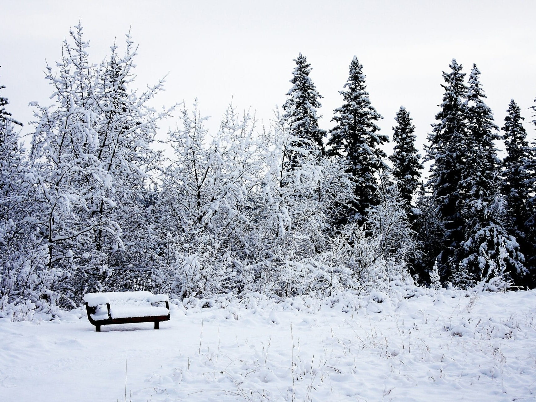 Calgary Fish Creek Provincial Park